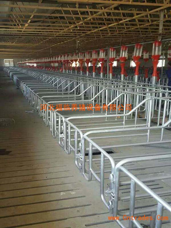自动化养猪设备:养猪场一般需要哪些养猪设备