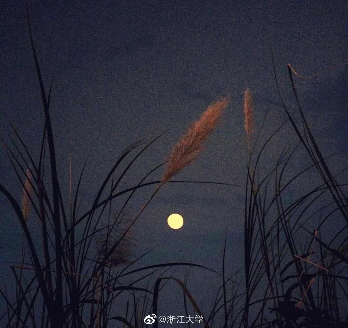 浙大违规招生宣传:为什么说国内的大学只有“清北”和其他大学?