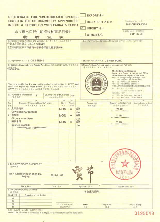 代理商品:经销商和代理商的区别！