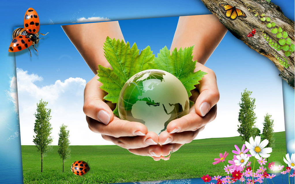 环保节能产品:什么叫节能环保