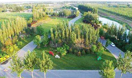 农业信息化:什么是农业信息化